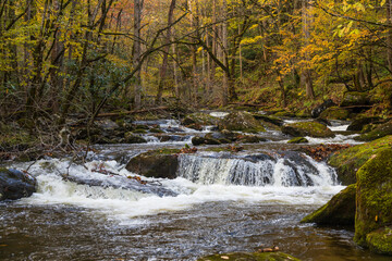 Cascading mountain stream in the fall Great Smoky Mountains National Park