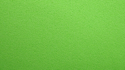 Green sponge, Surface with porous texture for background, Close up	