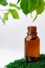 Cosmetics in a bottle, essential oil on moss