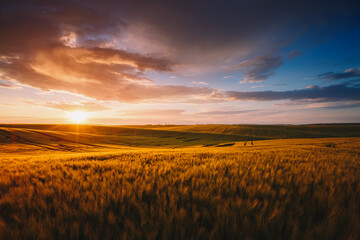 Spectacular scene of agricultural land in the sunlight in the evening.