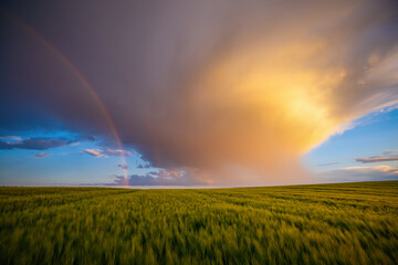 Picturesque agricultural landscape with magical rainbow in blue sky.