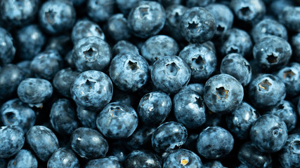 lots of blueberries