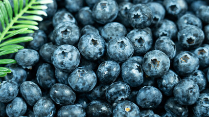 lots of blueberries