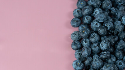 lots of blueberries on a pink background
