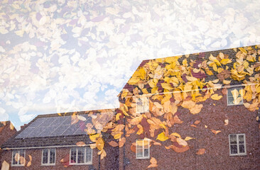 Double exposure of a residential building with Autumn leaves.