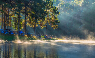 Fototapeta na wymiar Morning in forest with camping in the mist at Pang Ung lake, Pang Ung Mae Hong Son province, North of thailand