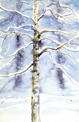 Watercolor postcard, winter birch hand drawing