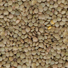 Lentils. Close-up. Seamless pattern.