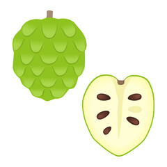 チェリモヤのイラスト