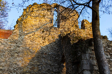 Franciscan monastery ruins on Margaret Island