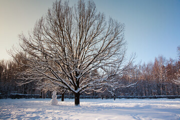 Snowman in a clearing in frosty, snow-covered winter park amongst large oak trees