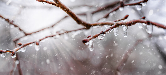 Natural winter background with snow and sunlight. Copy space