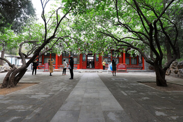 Fototapeta premium Chinese classical garden scenery and tourists