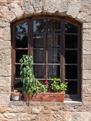 Particular of a Window with Iron Bars and Green Basil Plant of an Ancient House in the Italian Medieval Village called Bolgheri in Tuscany