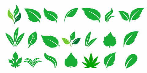 collection leaf logo,template logo design vector