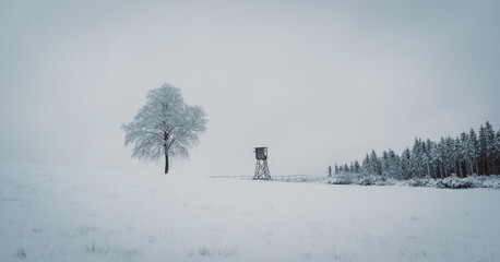 Winterlandschaft Eifel