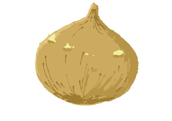 たまねぎ