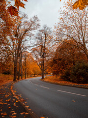 Obraz premium the road that leads to Malvern