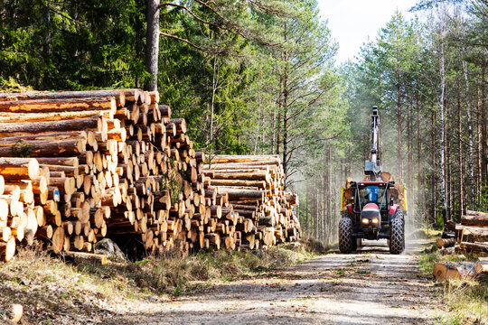 Tractor on forest road among stacks of logs