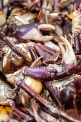 fresh crabs on market stall