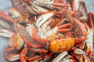 crab cooked in salt water