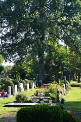 Friedhof im Herbst in Walsrode, Niedersachsen