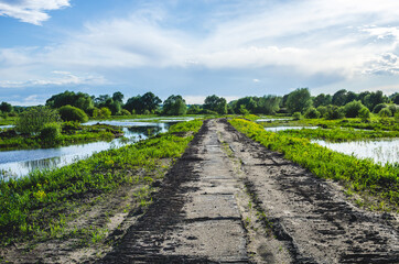 Obraz premium Concrete slab road along in rural area