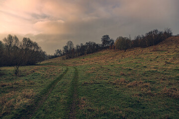 Fototapeta premium Spring nature