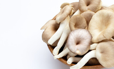 Fresh oyster mushroom in wooden bowl on white background.