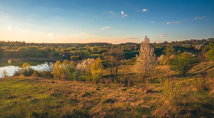 Spring evening landscape