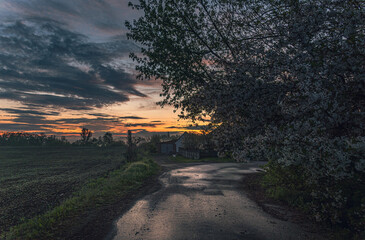 Magic sunrise