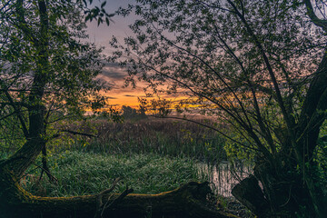 Magic sunrise