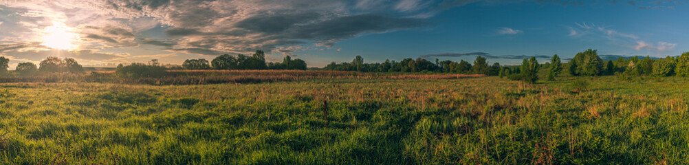 Obraz premium Summer landscape