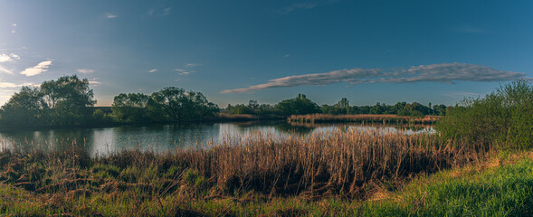 Summer landscape