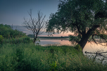 Magic sunrise