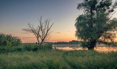 Naklejka premium Magic sunrise