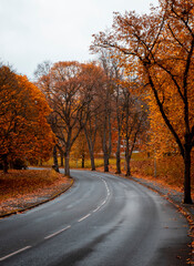 Fototapeta na wymiar a road in an English autumn landscape