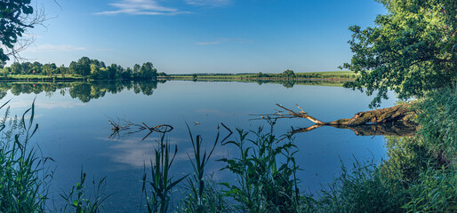 Spring nature beauty