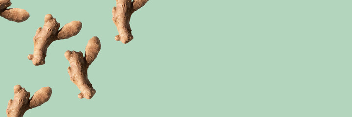 banner ginger root on green background