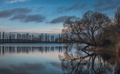Faded nature in late summer and autumn