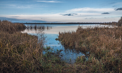 Faded nature in late summer and autumn