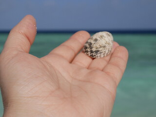 A woman's hand holds a small shell against the background of ocean waves on a sunny summer day on a summer vacation. Nails without manicure
