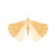 Celestial butterfly. Hand drawn insect with patterned wings and stars. Boho design element, elegant garden animal. Vector art.