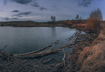 Spring evening landscape