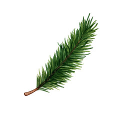 Watercolor spruce branch. Xmas decoration isolated on white background. Cute Christmas, New year element for greeting cards, textile, wrapping paper, banners, sticker design, kids playroom wall decor
