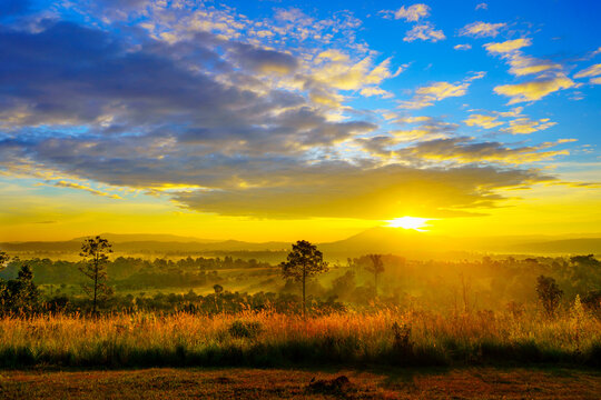 sunset over the field © Pongvit