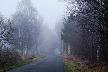 Fototapeta na wymiar Gęsta mgła na drodze