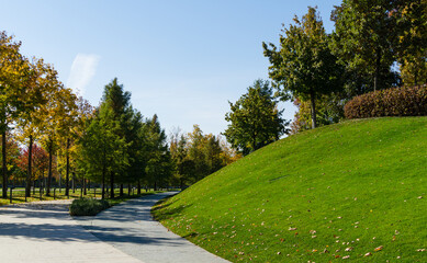 Multilevel landscape with beautiful ornamental trees and walking alleys. Public landscaped city park Krasnodar or Galitsky park. Best place for relaxation and walking.