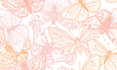vector drawing seamless pattern with butterflies, hand drawn illustration
