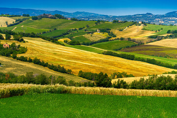 Fototapeta na wymiar Rural landscape along the road from Fano to Mondavio, Marche